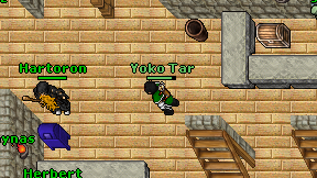 Yoko Tar on screen