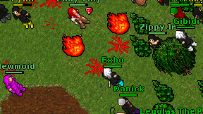 Exho on screen