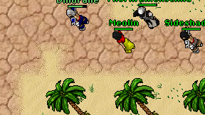 Meolin on screen