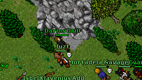 Darius Grill on screen