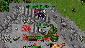 Cihaa on screen