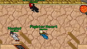 Fighter Heart on screen