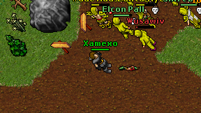 Xamexo on screen