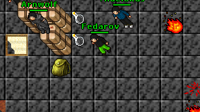 Fedarov on screen
