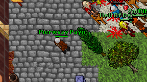 Pierwszy Payn on screen