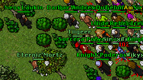 Tiigeer on screen