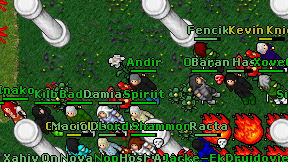 Andir on screen