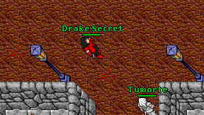 Drake Secret on screen