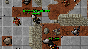 Royal Akuluzz on screen