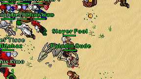 Slayer Fool on screen