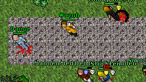 Wazub on screen