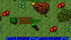 Beloco on screen