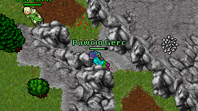 Pawcio Gerc on screen