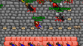 Arollia on screen