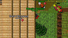 Magic Anion on screen