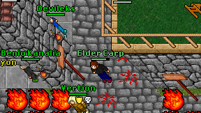 Elder Carp on screen