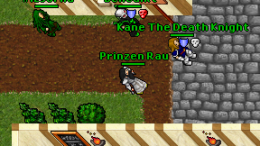 Prinzen Rau on screen