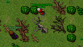 Kalanguete on screen