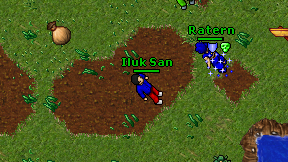 Iluk San on screen