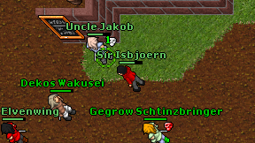 Sir Isbjoern on screen