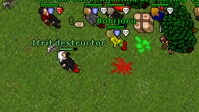 Ifrit destructor on screen