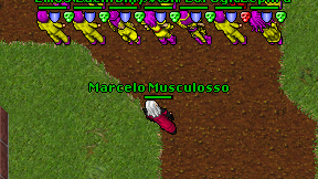 Marcelo Musculosso on screen