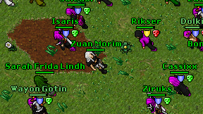 Zuan Morim on screen