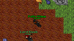 Palla Slimm on screen