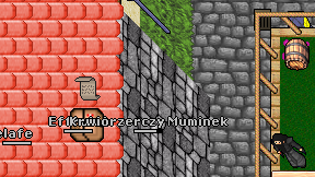 Delafe on screen
