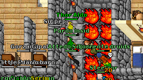 Pardo insid on screen