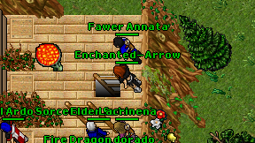 Enchanted-Arrow on screen