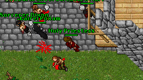 Holy Priestess on screen