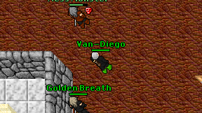 Van-Diego on screen