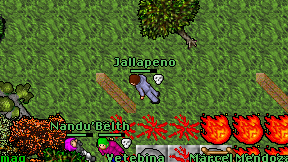 Jallapeno on screen