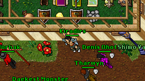 Kiradirs on screen