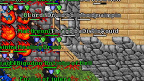 Disco Druid on screen