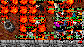 Skelig on screen