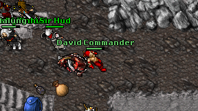 David Commander on screen