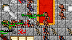 Shaggy Knight on screen