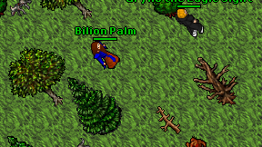Bilion Palm on screen