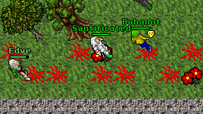 Edve on screen