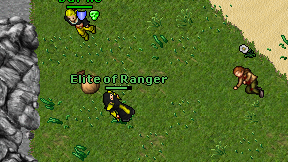Elite of Ranger on screen