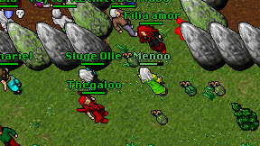 Menoo on screen