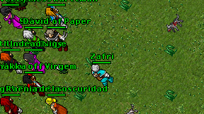 Zafri on screen