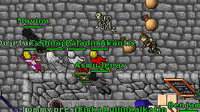 Paladin Akantis on screen