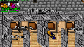 Paladino Dunga on screen