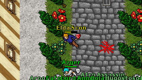 Elda Scon on screen