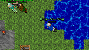 Bru-Ni-Nho on screen