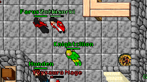 Knightcllion on screen