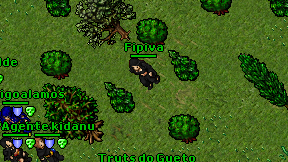 Fipiva on screen